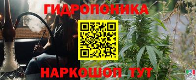 spice Славгород
